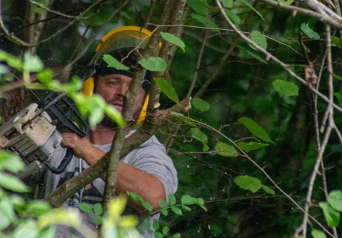 landari-pays-basque-bearn-entretien-espaces-verts-elagage-arbres-4
