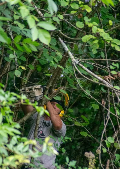 landari-pays-basque-bearn-entretien-espaces-verts-abattage-haies-2